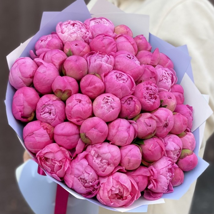 51 розовый пион Флеминг